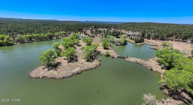 Rare Lakefront Property in the White Mountains - Approx. 15 - photo 16
