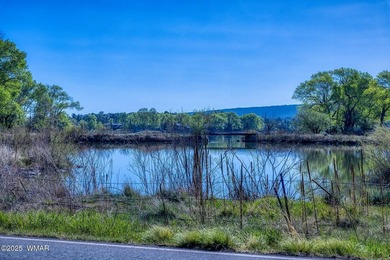 Rare Lakefront Property in the White Mountains - Approx. 15 - photo 18