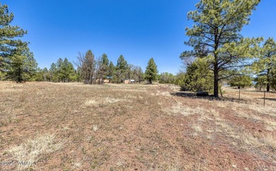 Rare Lakefront Property in the White Mountains - Approx. 15 - photo 21