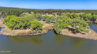 Rare Lakefront Property in the White Mountains - Approx. 15 - photo 24