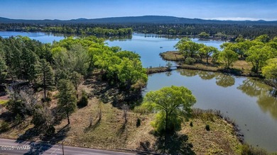 Rare Lakefront Property in the White Mountains - Approx. 15 - photo 28