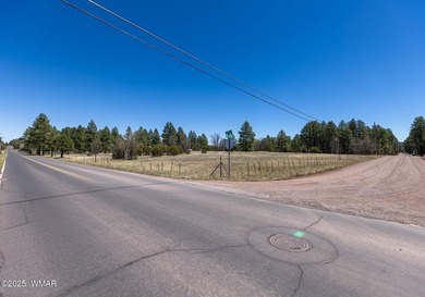 Rare Lakefront Property in the White Mountains - Approx. 15 - photo 29