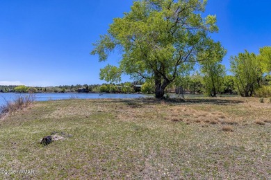 Rare Lakefront Property in the White Mountains - Approx. 15 - photo 31
