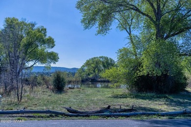 Rare Lakefront Property in the White Mountains - Approx. 15 - photo 32