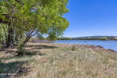 Rare Lakefront Property in the White Mountains - Approx. 15 - photo 33