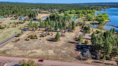 Rare Lakefront Property in the White Mountains - Approx. 15 - photo 37