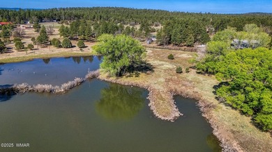 Rare Lakefront Property in the White Mountains - Approx. 15 - photo 39