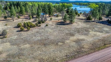Rare Lakefront Property in the White Mountains - Approx. 15 - photo 42