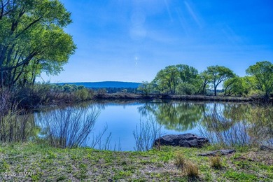 Rare Lakefront Property in the White Mountains - Approx. 15 - photo 43