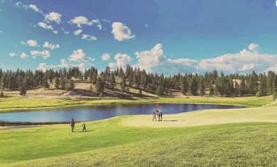 Located within the gated community of Wilderness Club, this - photo 47