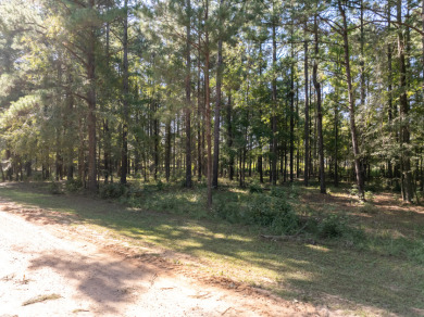 FIVE ACRES waterfront acreage in  gated Lake Eddins! - photo 7