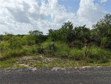Lake Lot For Sale in Sandia, Texas