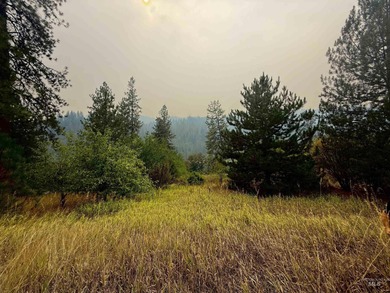 Clearwater River - Idaho County Lot For Sale in Kamiah Idaho