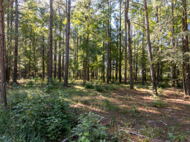 FIVE ACRES waterfront acreage in  gated Lake Eddins! - photo 8