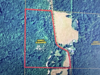 One mile from a boat ramp on Lake of the Ozarks!! This 25 acres - photo 11