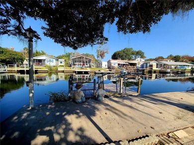 Weeki Wachee Gardens is truly a gem! This is a great location to - photo 19