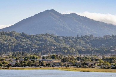 A single-level home, with 180 degree views, in a gated community - photo 20