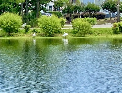 This 2 BR 2 BA condo is in Grand Palms Resort (previously - photo 30