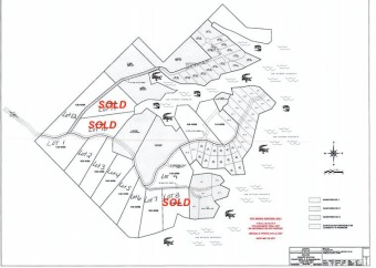 ENJOY PRIVACY & SECLUSION BORDERING THE NATIONAL FOREST..... ALL - Lake Acreage For Sale in Huntington, Texas
