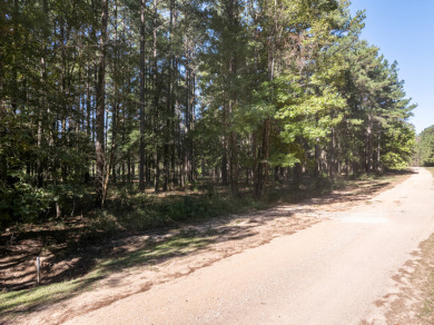 FIVE ACRES waterfront acreage in  gated Lake Eddins! - photo 5