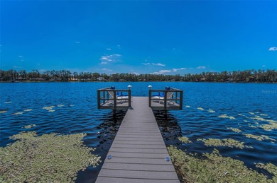 Lake Armistead  Home For Sale in Odessa Florida