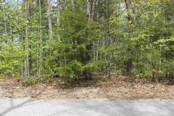 Lake Lot Off Market in Ossipee, New Hampshire