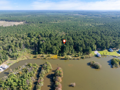 FIVE ACRES waterfront acreage in  gated Lake Eddins! - photo 17