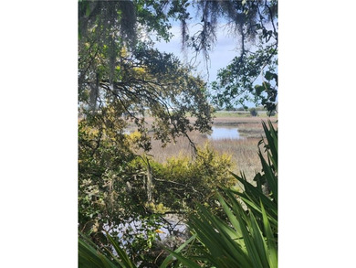 Welcome to 160 Glyndale Circle in Brunswick, GA-a unique and - photo 1