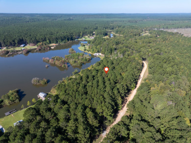 FIVE ACRES waterfront acreage in  gated Lake Eddins! - photo 19