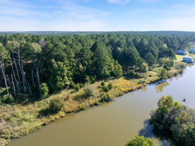 FIVE ACRES waterfront acreage in  gated Lake Eddins! - photo 11