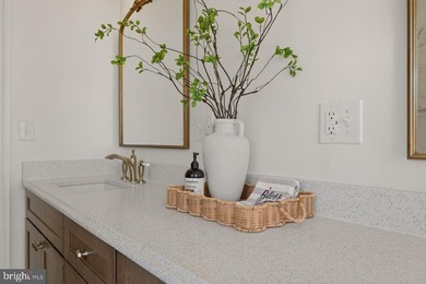 PANORAMIC BLUE RIDGE VIEWS - Experience refined country living - photo 46
