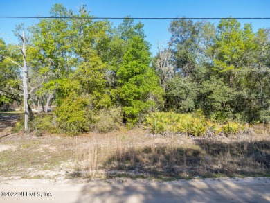 Winding Tree Lake Lot For Sale in Keystone Heights Florida