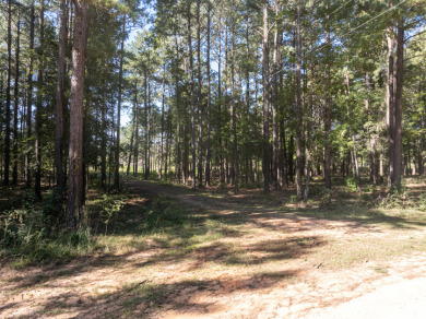 FIVE ACRES waterfront acreage in  gated Lake Eddins! - photo 6