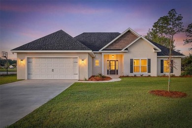 This MOVE IN READY, beautiful new construction home, located in - photo 1