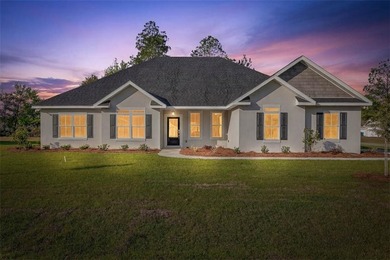 This beautiful, MOVE-IN READY new construction home sits on a - photo 1