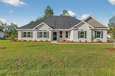 This beautiful, MOVE-IN READY new construction home sits on a - photo 2
