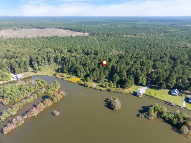 FIVE ACRES waterfront acreage in  gated Lake Eddins! - photo 16