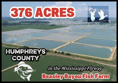 Welcome to Beasley Bayou Fish Farm in Isola. This 376-acre - photo 2