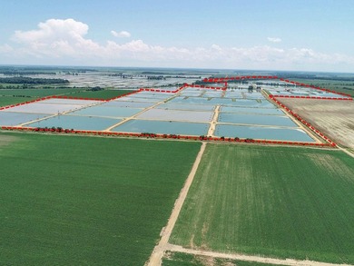Welcome to Beasley Bayou Fish Farm in Isola. This 376-acre - photo 7