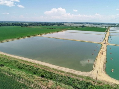 Welcome to Beasley Bayou Fish Farm in Isola. This 376-acre - photo 9