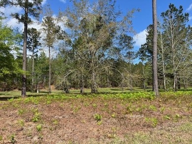 Build your dream home in Lakeside at Longwood-where value meets - photo 1