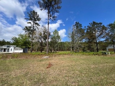 Build your dream home in Lakeside at Longwood-where value meets - photo 3