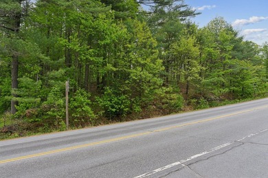 Set in a prime location with breathtaking views of Mousam Lake - photo 4