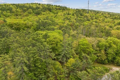 Set in a prime location with breathtaking views of Mousam Lake - photo 6