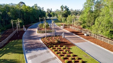 Build your dream home and create the lifestyle you've been - photo 5