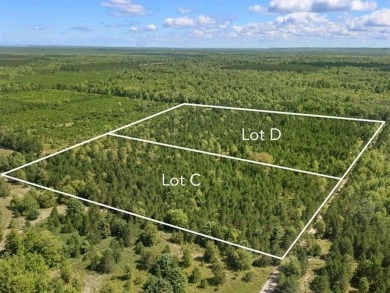 Lake Acreage For Sale in Colfax Twp, Michigan