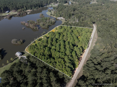 FIVE ACRES waterfront acreage in  gated Lake Eddins! - photo 4