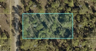 Lehigh Acres Area Lot For Sale in Lehigh Acres Florida
