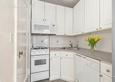 Please read, INVESTOR ONLY Rent-Stabilized Tenant in Place (Unit - photo 6