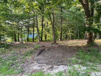 Coveted building lot on Great Diamond Island. Quiet, private - photo 2